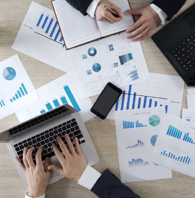 საგადასახადო შემოწმების პროცესში ჩართულობა / წარმომადგენლობა