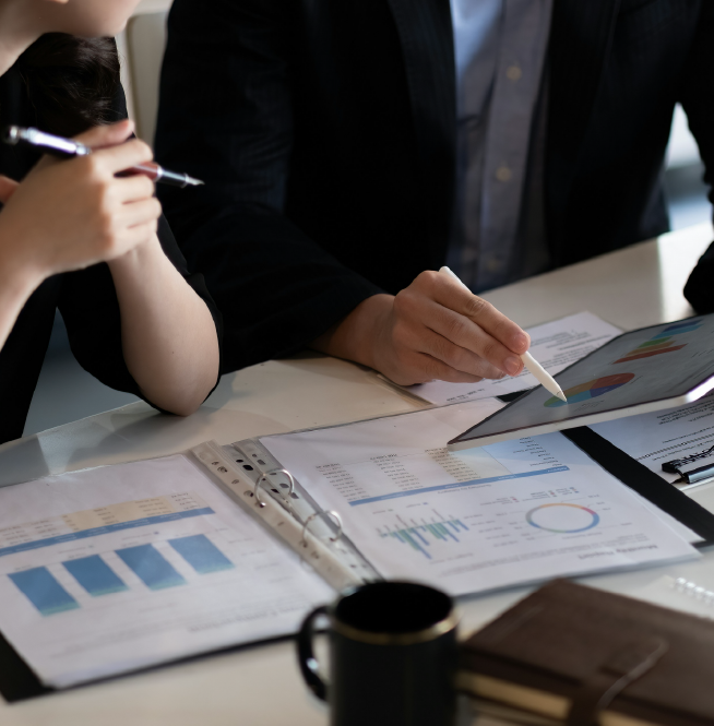 საგადასახადო დეკლარაციების კონტროლი / გარე აუდიტი